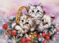 Preview: Diamond Painting 3 süsse Kätzchen